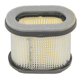 697029 AIR FILTER W/PRE-CL