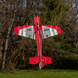 E-FLITE  ERATIX 3D FLAT FOAM