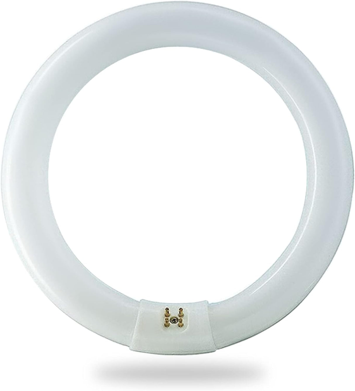 Circular Fluorescent Bulb FC8