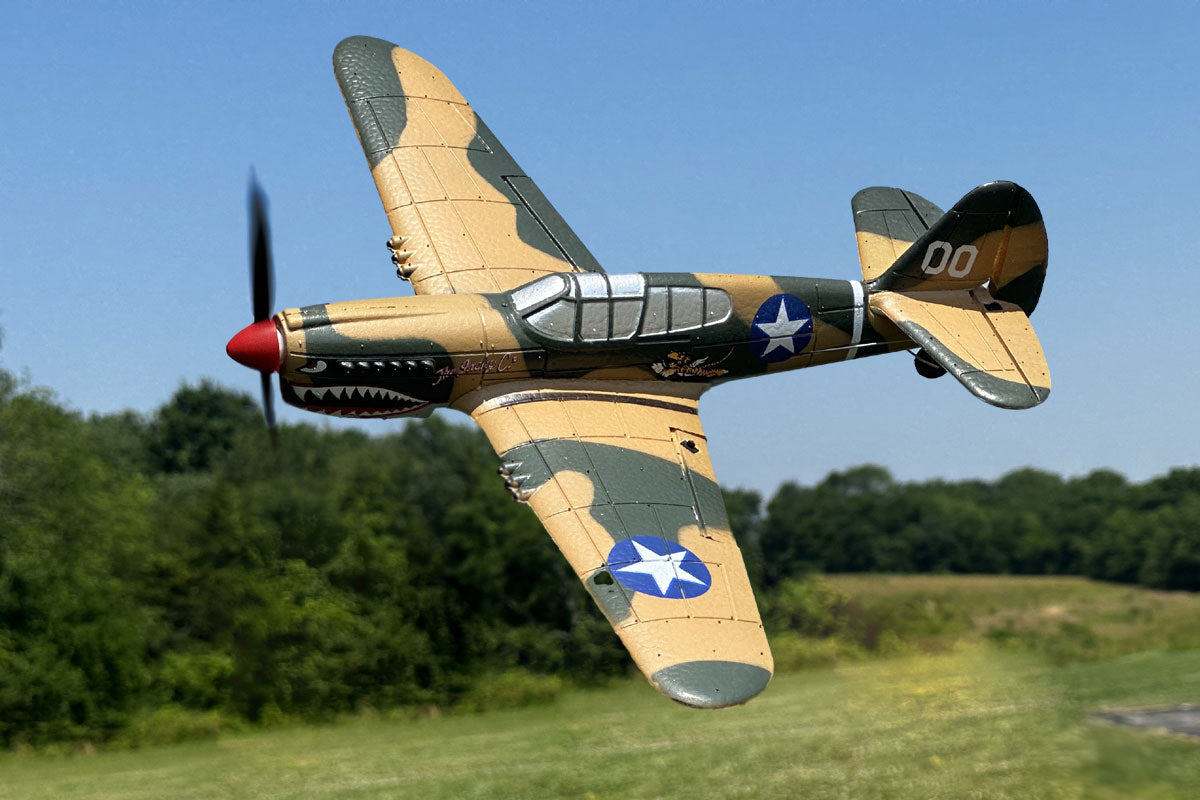 RAGE CURTISS P-40 WARHAWK